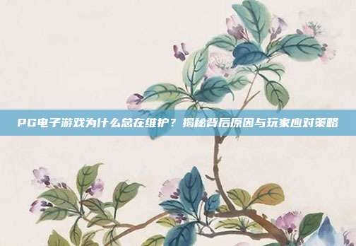 PG电子游戏为什么总在维护？揭秘背后原因与玩家应对策略