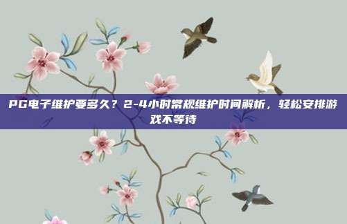 PG电子维护要多久？2-4小时常规维护时间解析，轻松安排游戏不等待