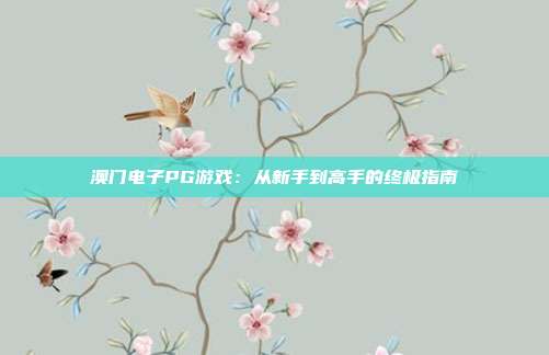 澳门电子PG游戏：从新手到高手的终极指南