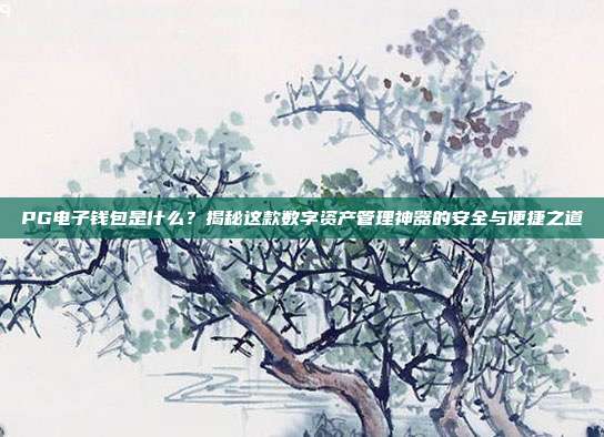 PG电子钱包是什么？揭秘这款数字资产管理神器的安全与便捷之道
