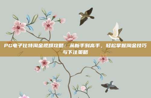 PG电子比特淘金视频攻略:从新手到高手,轻松掌握淘金技巧与下注策略