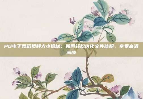 PG电子舞蹈视频大小揭秘:如何轻松优化文件体积,享受高清画质