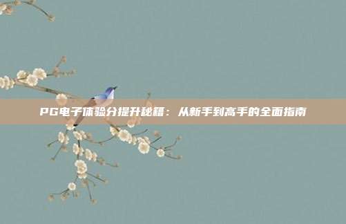 PG电子体验分提升秘籍:从新手到高手的全面指南