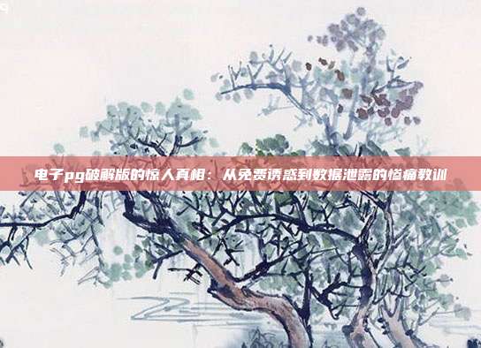 电子pg破解版的惊人真相:从免费诱惑到数据泄露的惨痛教训