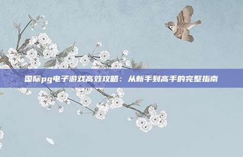 国际pg电子游戏高效攻略：从新手到高手的完整指南