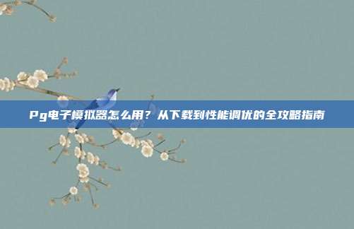 Pg电子模拟器怎么用？从下载到性能调优的全攻略指南
