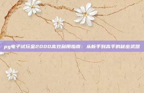 pg电子试玩金2000高效利用指南:从新手到高手的秘密武器