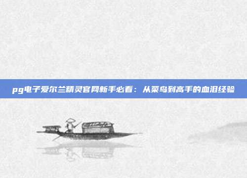 pg电子爱尔兰精灵官网新手必看:从菜鸟到高手的血泪经验