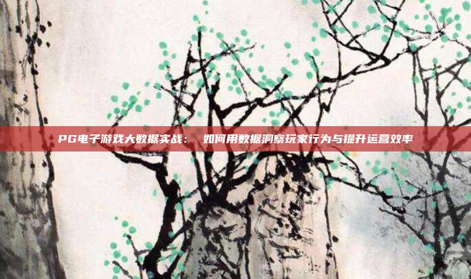 PG电子游戏大数据实战： 如何用数据洞察玩家行为与提升运营效率