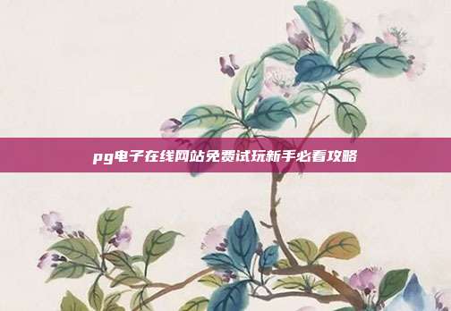 pg电子在线网站免费试玩新手必看攻略