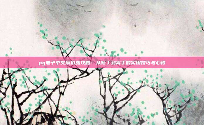 pg电子中文模拟器攻略:从新手到高手的实用技巧与心得