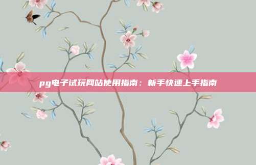 pg电子试玩网站使用指南：新手快速上手指南