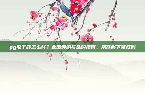 pg电子鼓怎么样？全面评测与选购指南，帮你省下冤枉钱