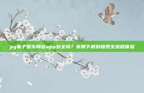 pg电子娱乐网站app安全吗？亲测下载到提现全流程体验