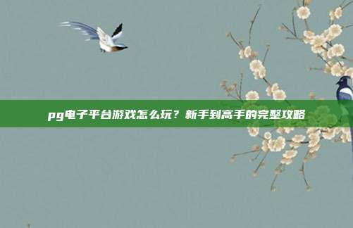 pg电子平台游戏怎么玩?新手到高手的完整攻略