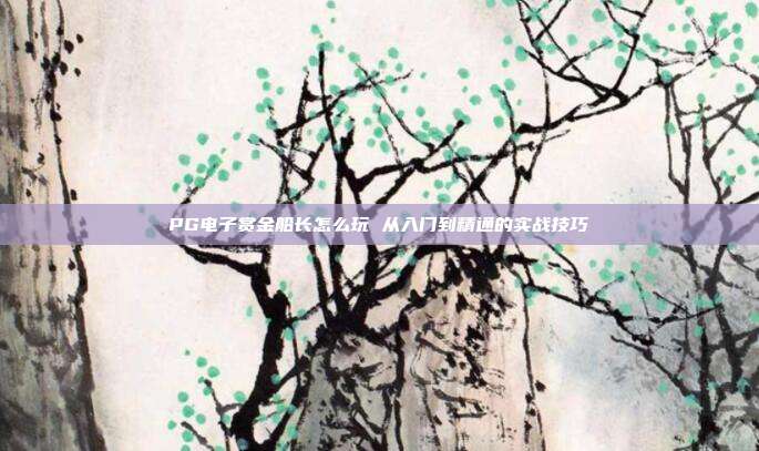 PG电子赏金船长怎么玩 从入门到精通的实战技巧