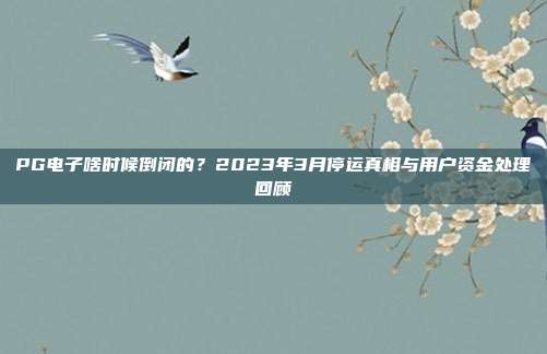 PG电子啥时候倒闭的？2023年3月停运真相与用户资金处理回顾