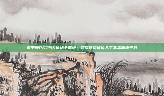 电子鼓PG25K价格全解析：如何以最优价入手高品质电子鼓