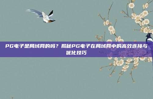 PG电子是局域网的吗?揭秘PG电子在局域网中的高效连接与优化技巧