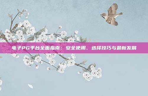 电子PG平台全面指南:安全使用、选择技巧与最新发展