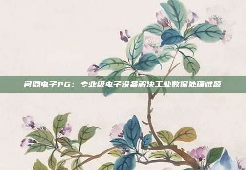 问鼎电子PG：专业级电子设备解决工业数据处理难题