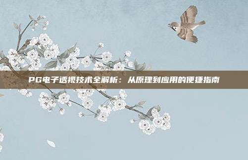 PG电子透视技术全解析：从原理到应用的便捷指南