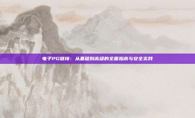 电子PG链接：从基础到高级的全面指南与安全实践