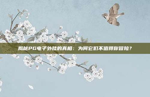 揭秘PG电子外挂的真相：为何它们不值得你冒险？